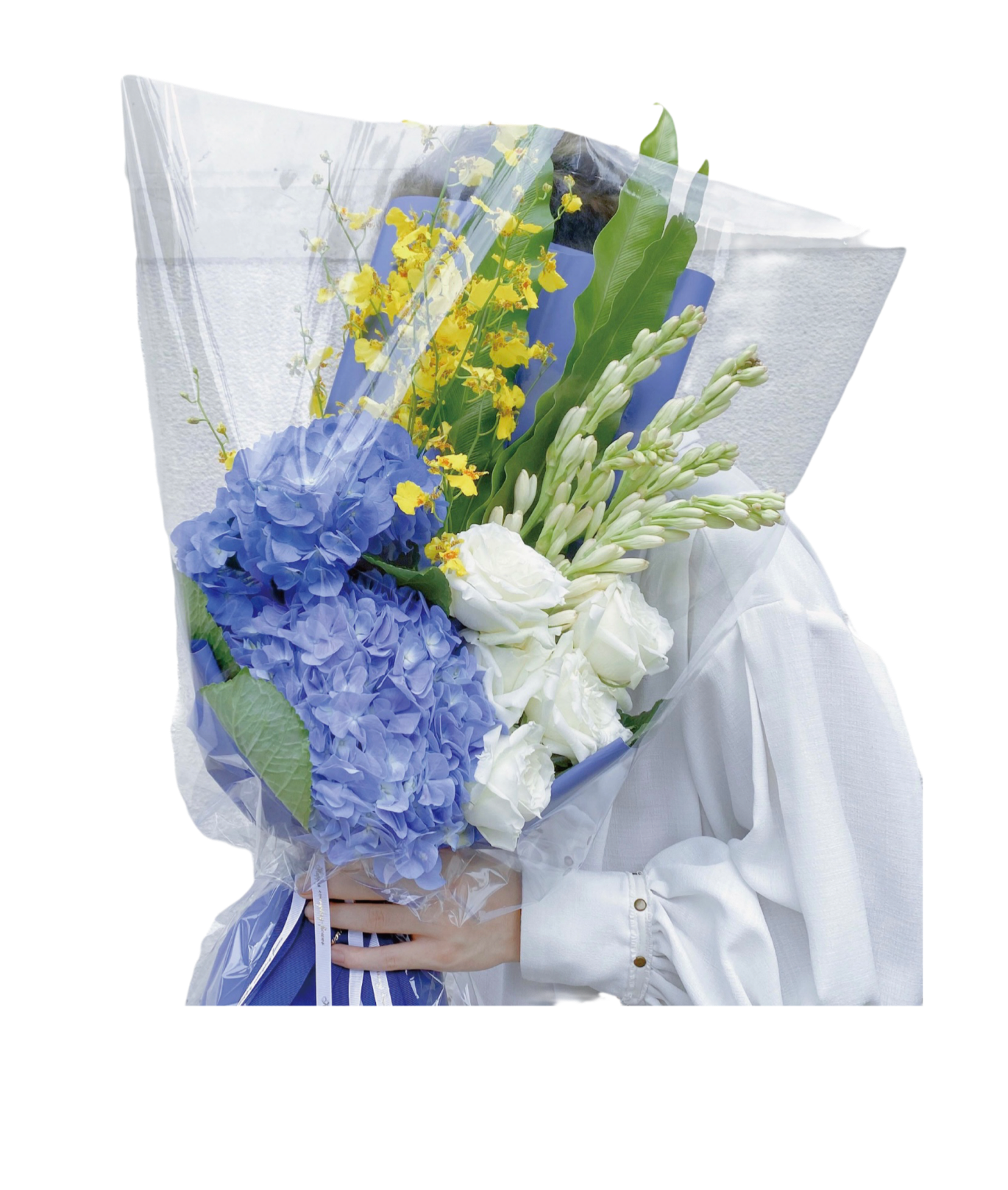 FB������(�й���)�ٷ���վ -APP����
