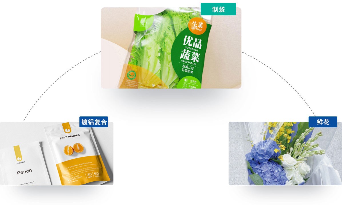 长塑佰恩丽1